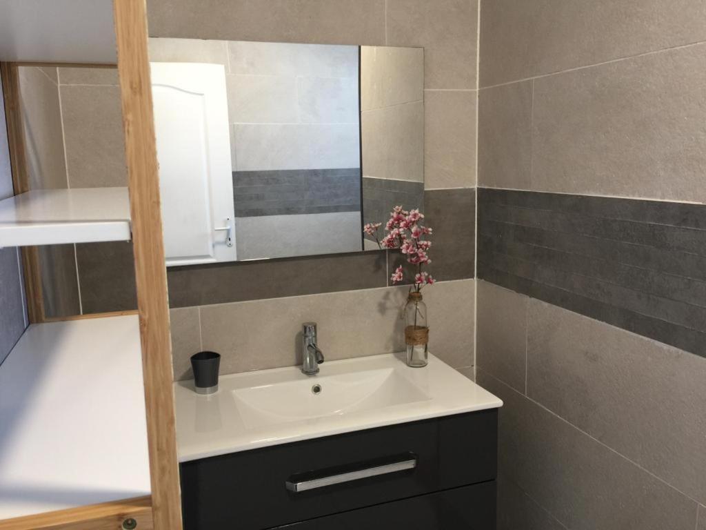 Nicole Residence Avec Piscine Chauffee & Jacuzzi Сен-Андре Екстериор снимка