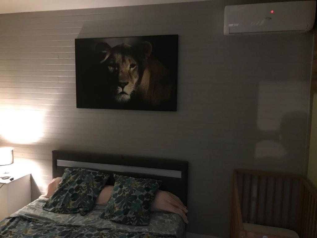 Nicole Residence Avec Piscine Chauffee & Jacuzzi Сен-Андре Екстериор снимка